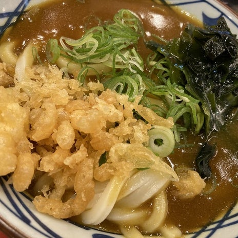 丸亀で初めて食べたカレーうどんの画像