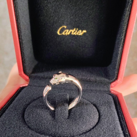 Cartierで試着し連れて帰ったヒョウの画像