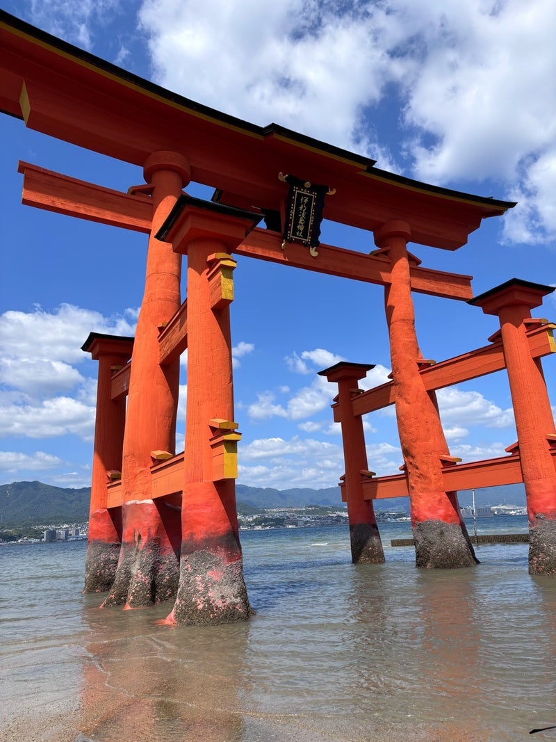 家族旅行で子が夢中になった潮だまりの画像