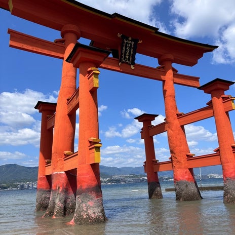 家族旅行で子が夢中になった潮だまりの画像