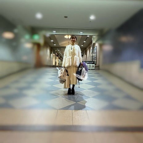 娘が気に入って追加購入したセットの画像