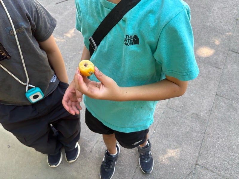 美優 少年に勧められた食べかけビワの画像