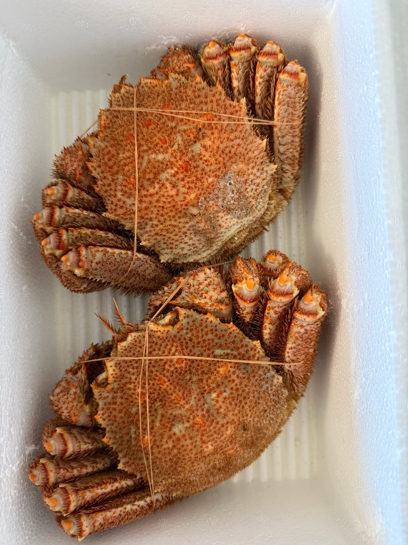 川崎麻世 妻の豪華すぎる食卓の画像