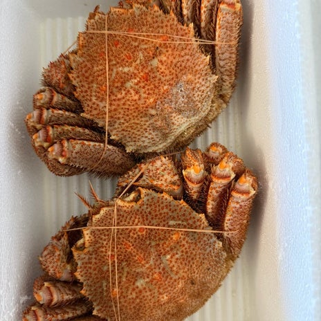 川崎麻世 妻の豪華すぎる食卓の画像