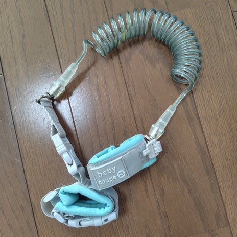 ハーネスが使えず引き篭もる思いの画像