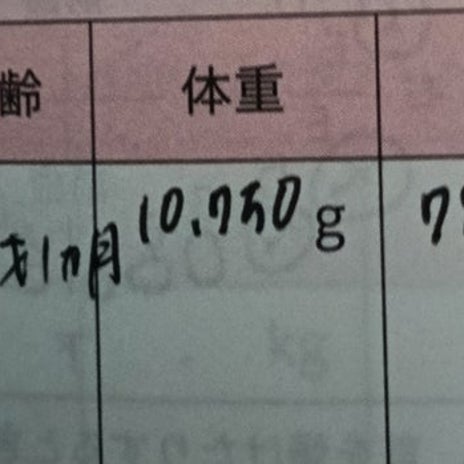 保健センターでいい加減キレた訳の画像