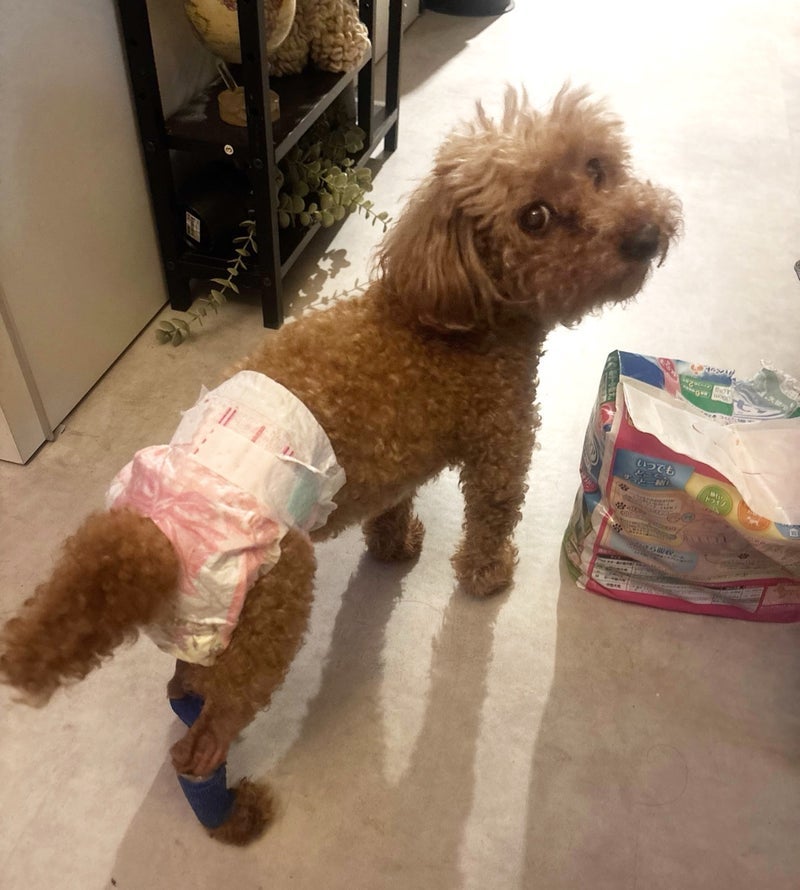 ヒデ 1人で夕飯を食べたカフェの画像