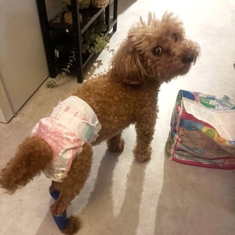 ヒデ 1人で夕飯を食べたカフェの画像