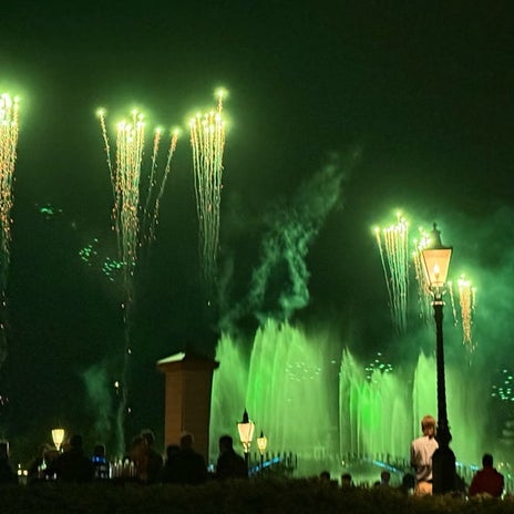 前回断念した夜のショーに夫と感動の画像