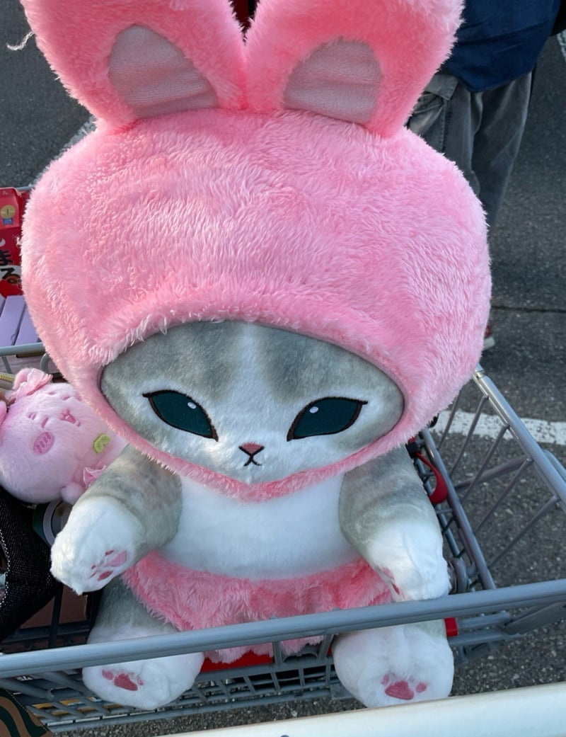 コストコでつられて買いすぎた物の画像