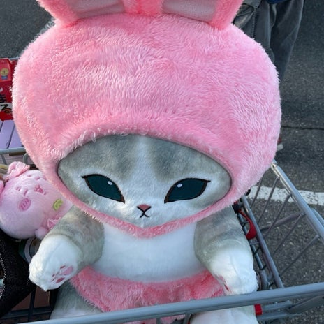 コストコでつられて買いすぎた物の画像