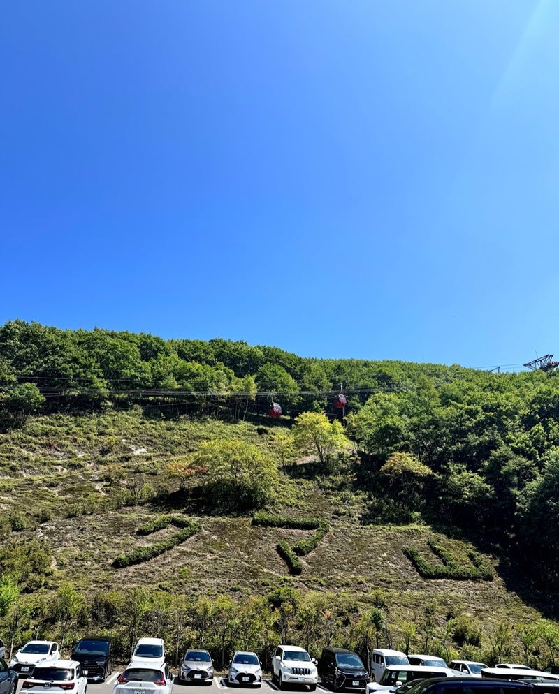 最高気温30℃を超えた日のクマ牧場の画像