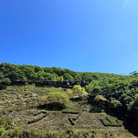 最高気温30℃を超えた日のクマ牧場の画像
