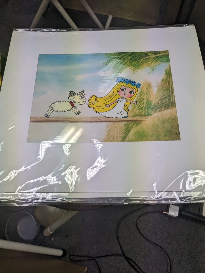 特別に入手した記念品のセル画の画像