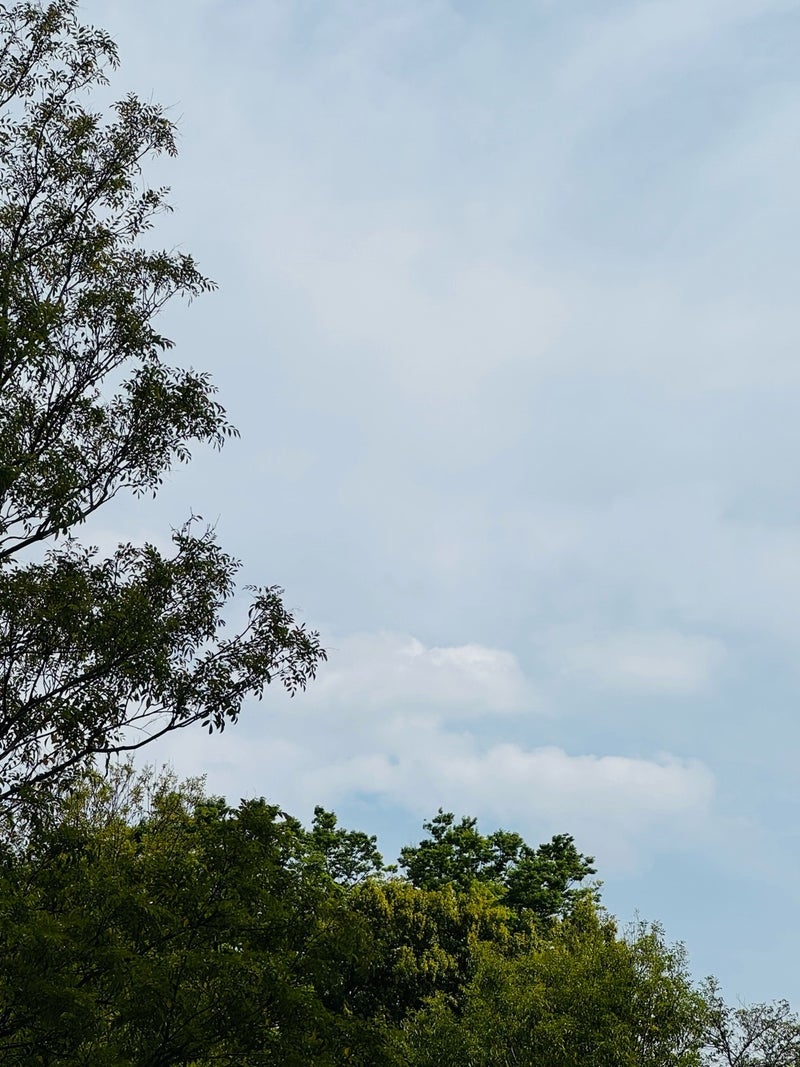 だいた 息子との悲しい会話の内容の画像