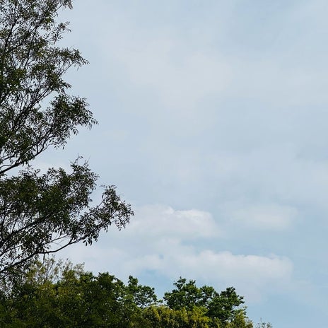 だいた 息子との悲しい会話の内容の画像