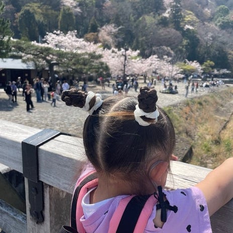 妹が欲しいとパパに言った娘の言葉の画像