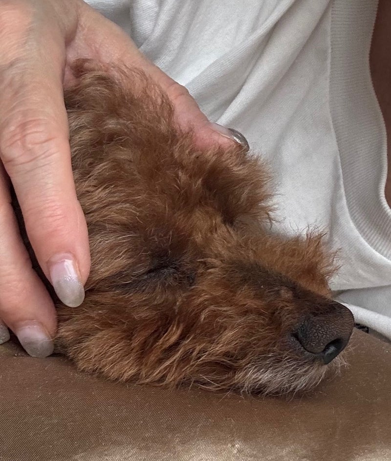 ヘルニアの痛みで眠れず寝不足の画像