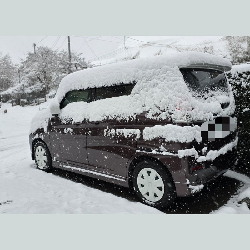 マイナス6度の朝あっという間の雪かきの画像