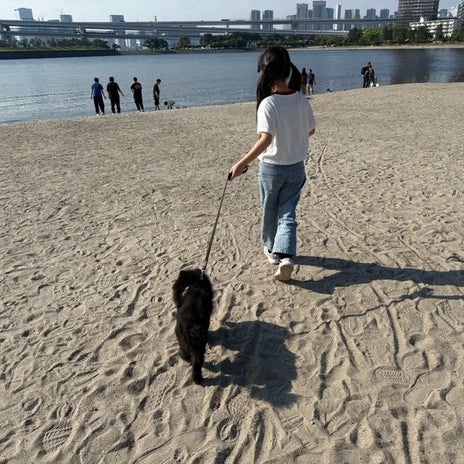 家族の良きバランスを取っていた人の画像