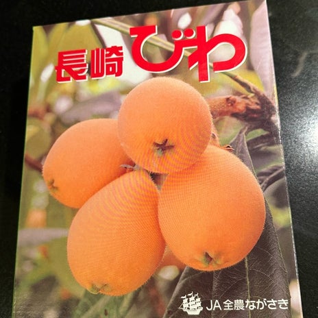 戸田恵子 観るたび泣けるNo.1ジブリの画像