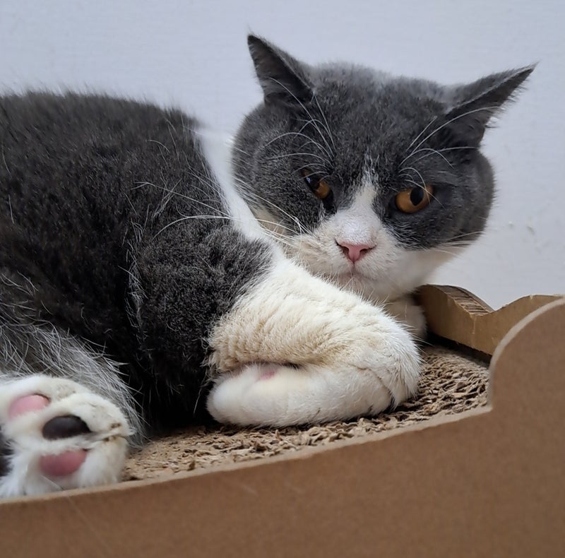 身体を壊しそうな昼夜逆転生活の画像