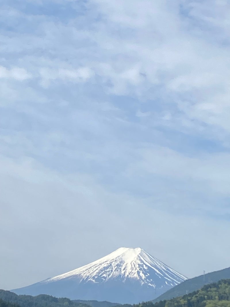 農業の開始を知らせる春と山椒の花の画像