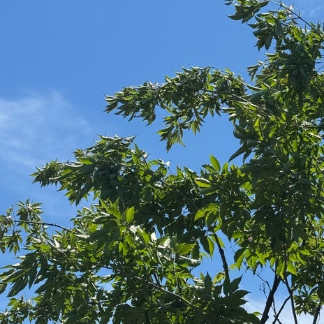 だいた 家づくり打ち合わせ後の内見の画像