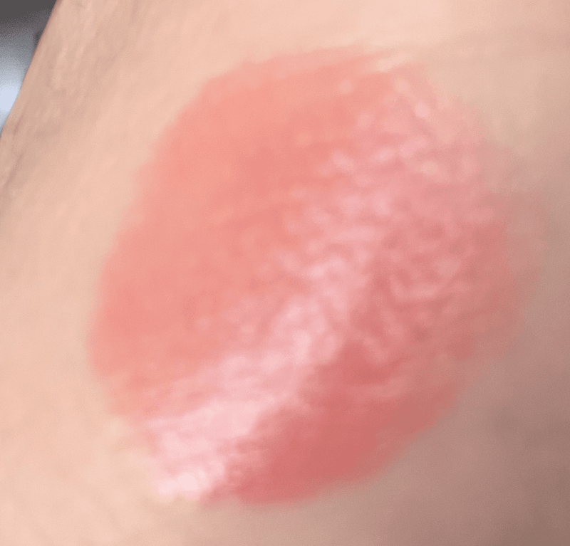 60代ブルベ夏が出会った運命の1本の画像