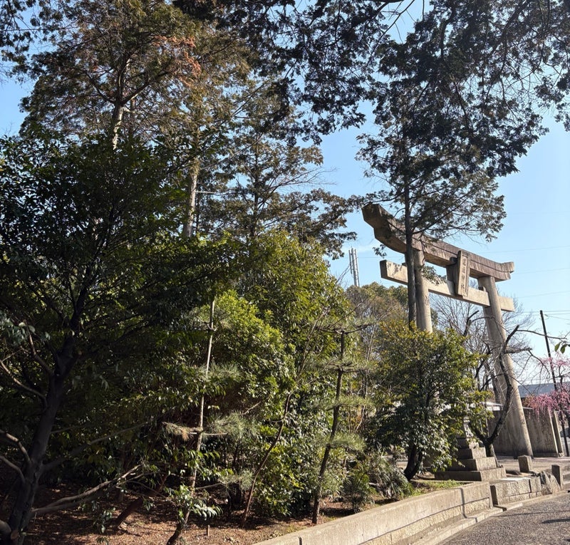 違和感を手放し全体運がアップの画像