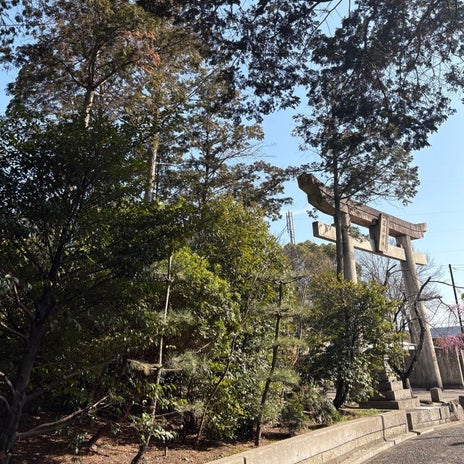 違和感を手放し全体運がアップの画像