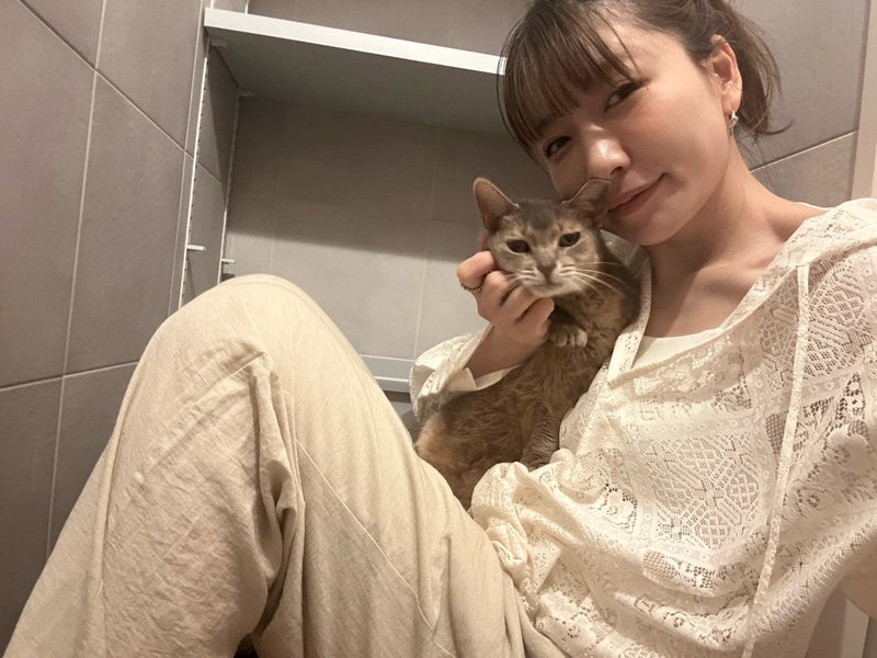 桃 愛猫のため先に新居へ移動の画像