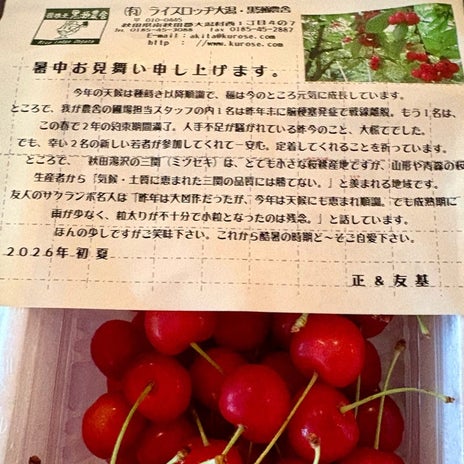 かとうかず子 頂いたさくらんぼの画像