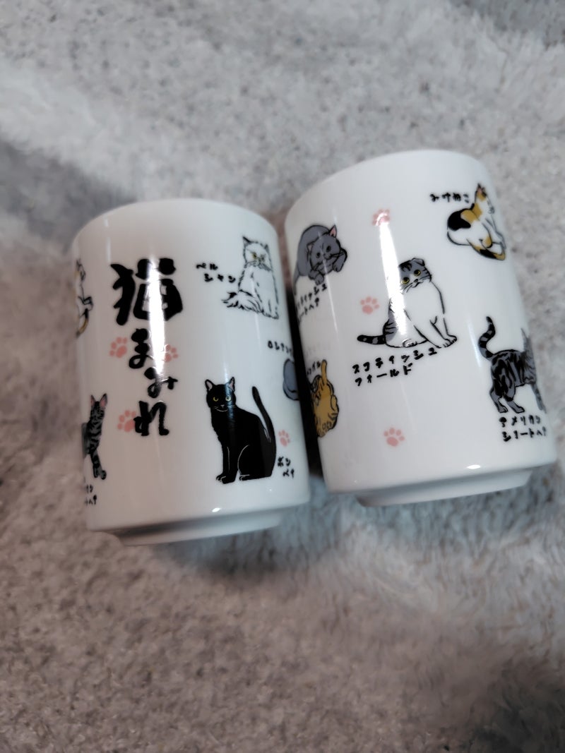 歯止めが効かないお金の使い方の画像