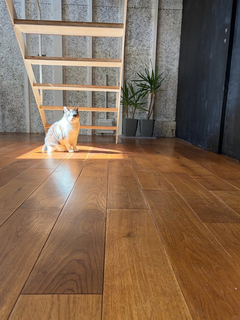 出費が多くて挫折しそうな家計簿の画像