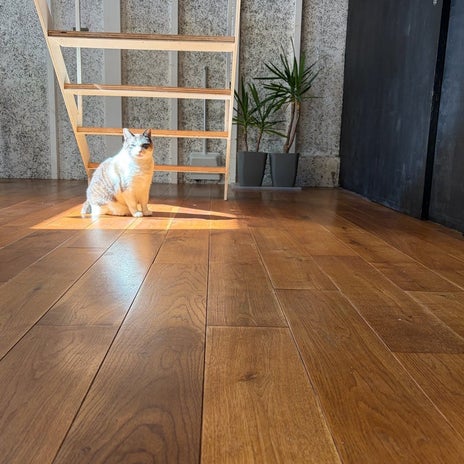 出費が多くて挫折しそうな家計簿の画像