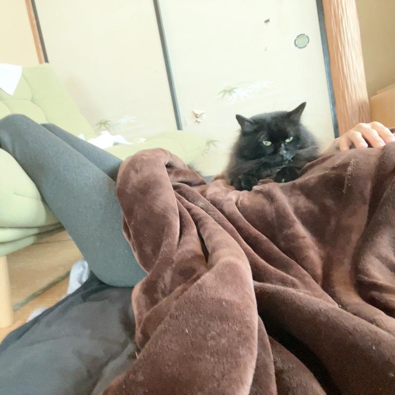 起き上がれないほど激しい頭痛の画像