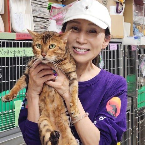 行って来たシェルターにいた猫ちゃんの画像