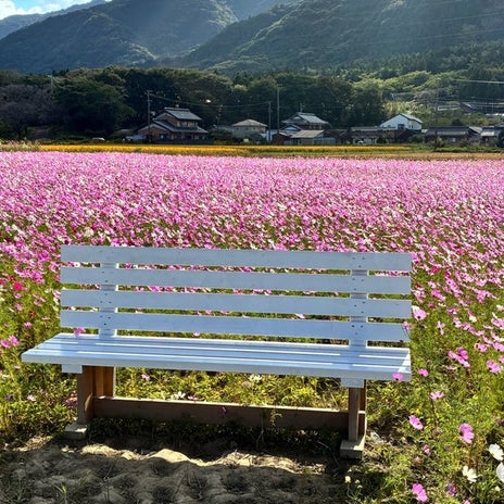 背中越しに聞こえた父の微かな嗚咽の画像