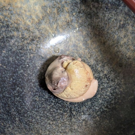 職場で貰った雛の入った卵を完食の画像