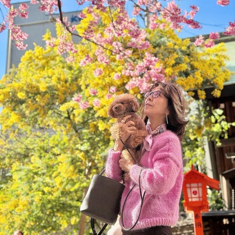 柏木由紀子 手編みセーターで花見の画像