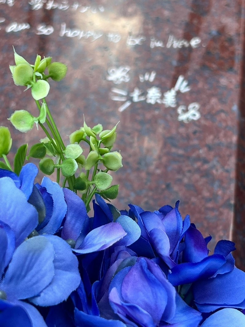 キャシー中島 箱に入る愛猫の姿の画像