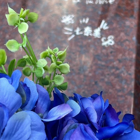 キャシー中島 箱に入る愛猫の姿の画像