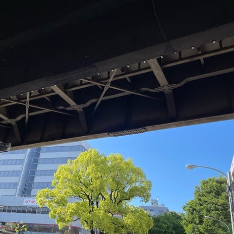 体がついていかない初夏のような暑さの画像