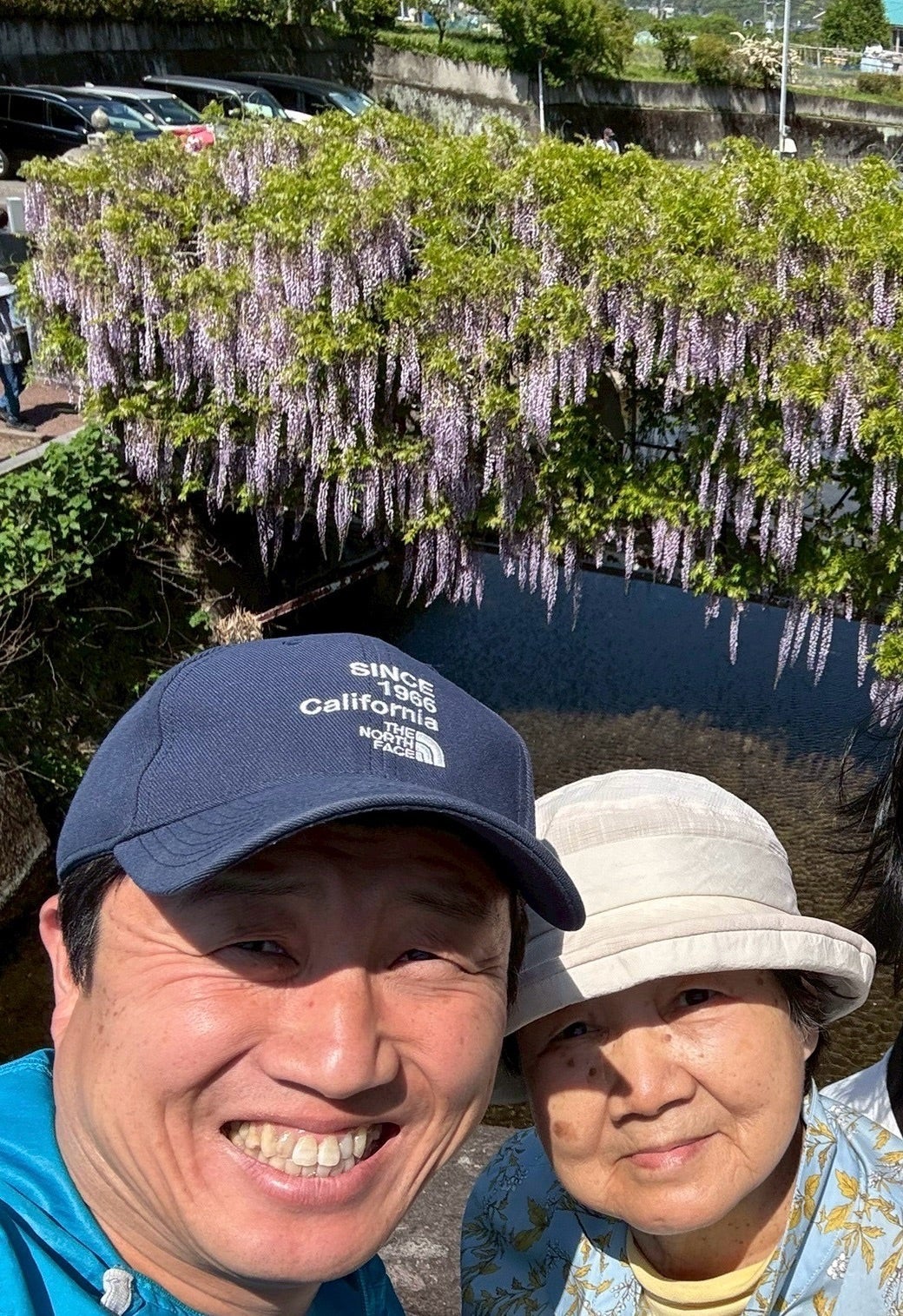パートもしてる来月80歳になる母の画像