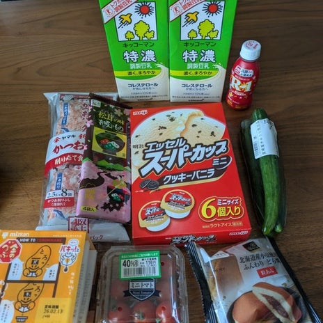 支出が多すぎて驚愕した家計簿の画像