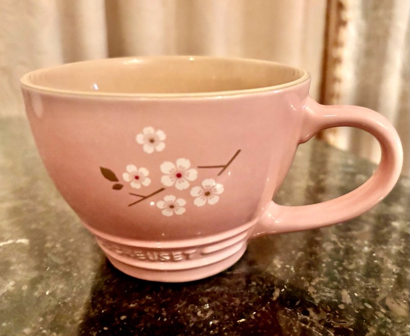 アグネス 風邪治り無事にロケ完了の画像