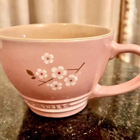 アグネス 風邪治り無事にロケ完了の画像