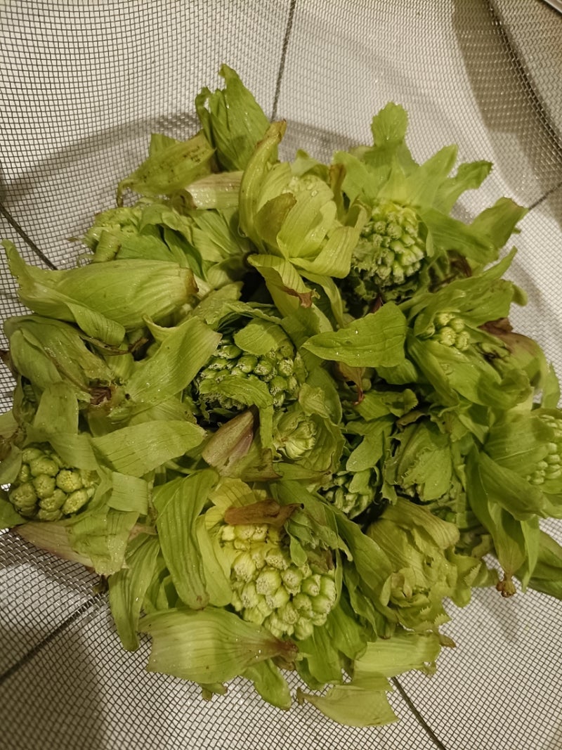 ふきのとうを食べた妊婦の腹痛の画像