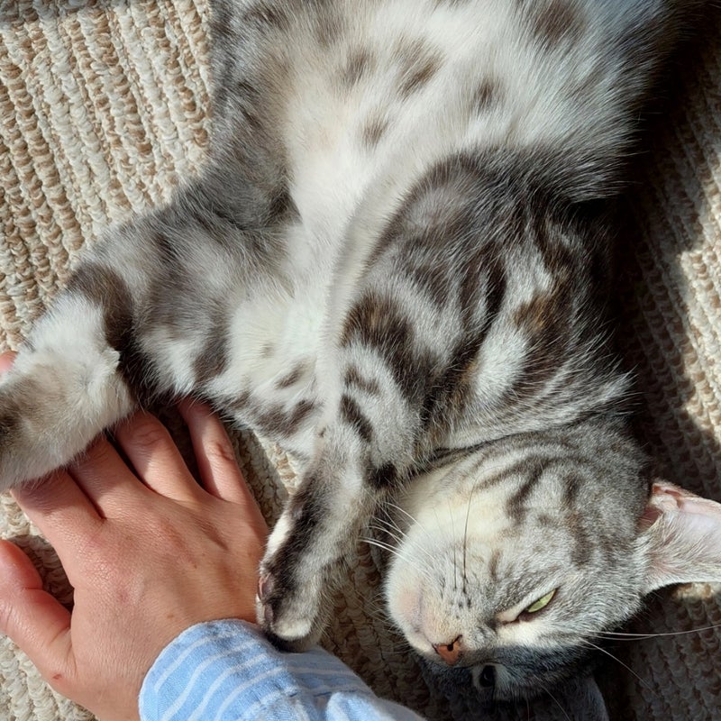 残された家族に寄り添う人の言葉の画像